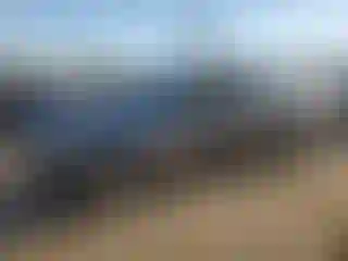 Vehicle Image- 2020 Nissan Altima