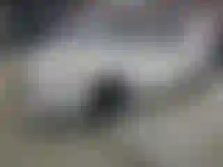 Vehicle Image- 2020 Nissan Altima