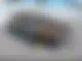 Vehicle Image- 2020 Nissan Altima