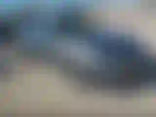 Vehicle Image- 2020 Nissan Altima