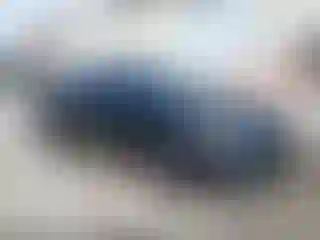 Vehicle Image- 2019 Nissan Altima