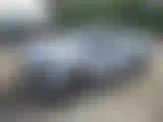 Vehicle Image- 2024 Nissan Altima