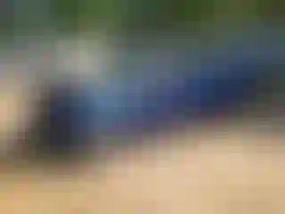 Vehicle Image- 2022 Nissan Altima