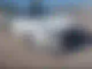 Vehicle Image- 2019 Nissan Altima