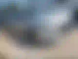 Vehicle Image- 2019 Nissan Altima