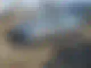 Vehicle Image- 2019 Nissan Altima