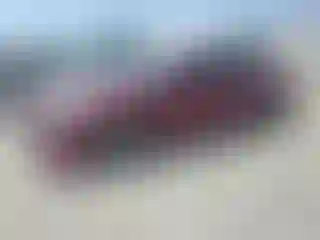 Vehicle Image- 2022 Nissan Altima