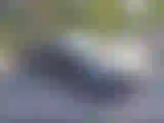 Vehicle Image- 2024 Nissan Altima