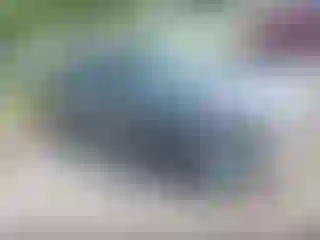 Vehicle Image- 2020 Nissan Altima