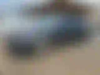 Vehicle Image- 2019 Nissan Altima