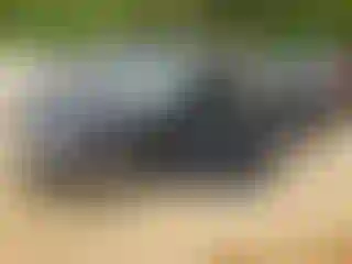 Vehicle Image- 2021 Nissan Altima