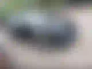 Vehicle Image- 2025 Nissan Altima