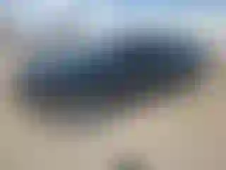 Vehicle Image- 2024 Nissan Altima