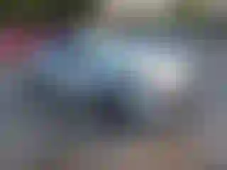 Vehicle Image- 2022 Nissan Altima