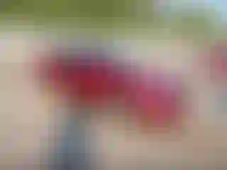 Vehicle Image- 2021 Nissan Altima