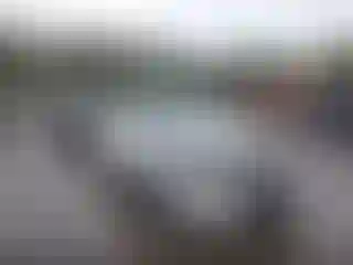 Vehicle Image- 2019 Nissan Altima