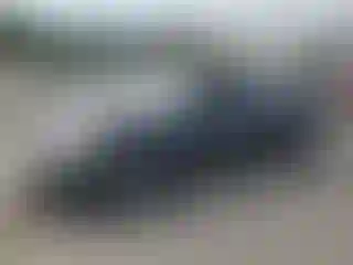 Vehicle Image- 2024 Nissan Altima