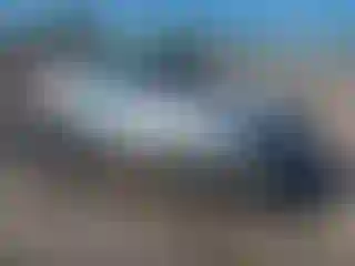 Vehicle Image- 2023 Nissan Altima