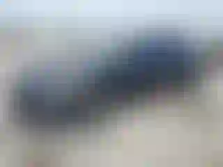 Vehicle Image- 2021 Nissan Altima