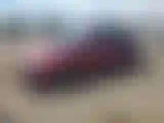 Vehicle Image- 2023 Nissan Altima