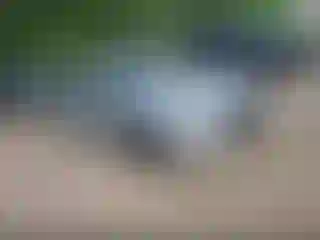 Vehicle Image- 2019 Nissan Altima