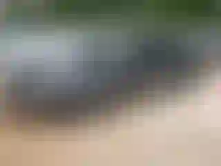Vehicle Image- 2020 Nissan Altima