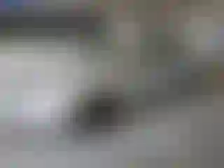 Vehicle Image- 1997 Nissan Altima