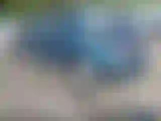 Vehicle Image- 1997 Nissan Altima