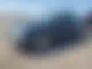 Vehicle Image- 1995 Nissan Altima