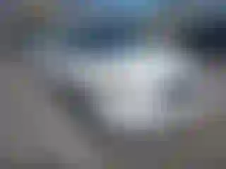 Vehicle Image- 2008 Nissan Altima