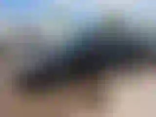 Vehicle Image- 2001 Nissan Altima