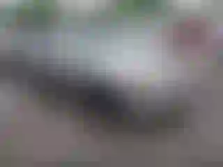 Vehicle Image- 2000 Nissan Altima