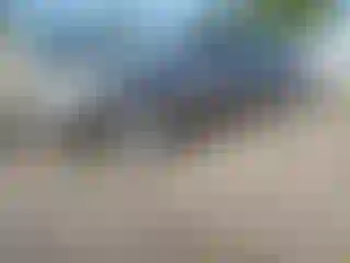 Vehicle Image- 2001 Nissan Altima