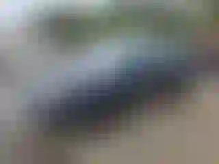 Vehicle Image- 1994 Nissan Sentra
