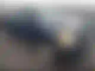 Vehicle Image- 2008 Nissan Titan