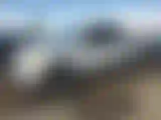 Vehicle Image- 2005 Nissan Titan