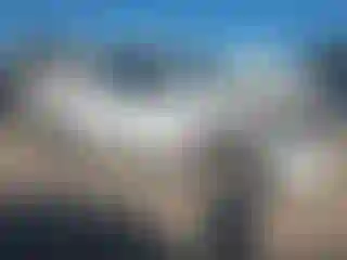 Vehicle Image- 2004 Nissan Titan