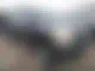 Vehicle Image- 2005 Nissan Titan