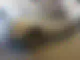 Vehicle Image- 2004 Nissan Titan