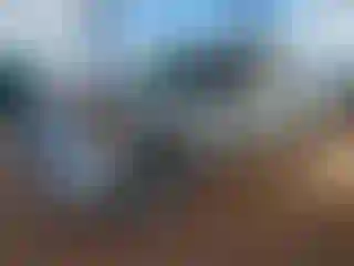 Vehicle Image- 2011 Nissan Titan