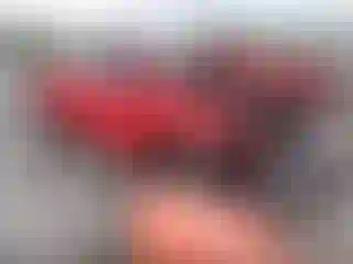 Vehicle Image- 2020 Nissan Titan