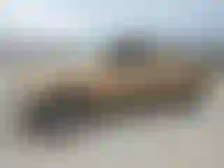 Vehicle Image- 2005 Nissan Frontier