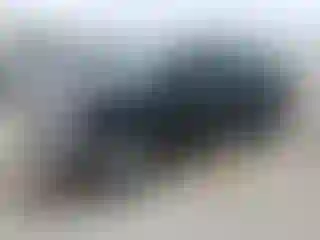 Vehicle Image- 2008 Nissan Frontier