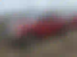 Vehicle Image- 2007 Nissan Frontier