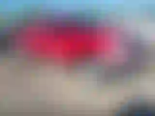 Vehicle Image- 2005 Nissan Frontier