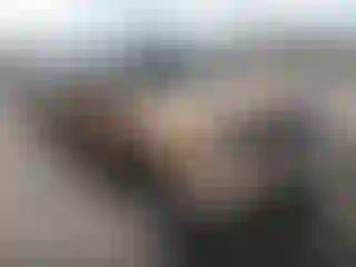 Vehicle Image- 2005 Nissan Frontier