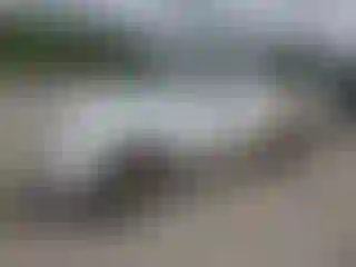 Vehicle Image- 2009 Nissan Frontier