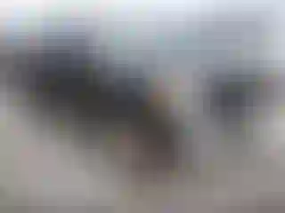 Vehicle Image- 2008 Nissan Frontier