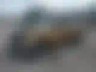 Vehicle Image- 2005 Nissan Frontier