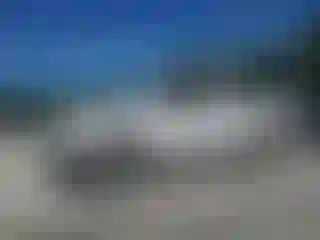 Vehicle Image- 2007 Nissan Frontier